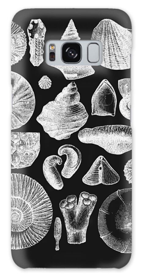 Sea Shell Galaxy Case featuring the digital art Sea Shells In Black And White by Madame Memento