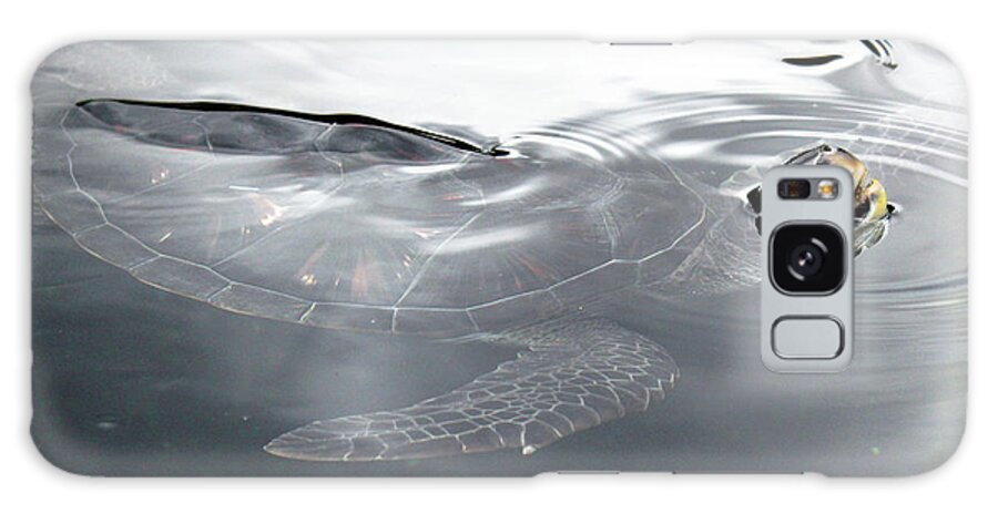 Maui Galaxy Case featuring the photograph Sea Turtle by Wilko van de Kamp Fine Photo Art