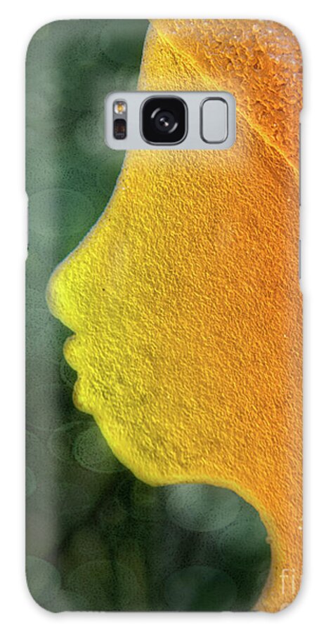 Sculpture Galaxy Case featuring the photograph Serene by Amy Dundon