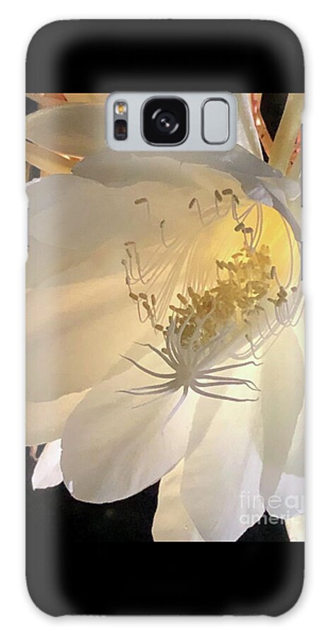 Floral Galaxy Case featuring the photograph Serious Cerius by Deborah Ferree