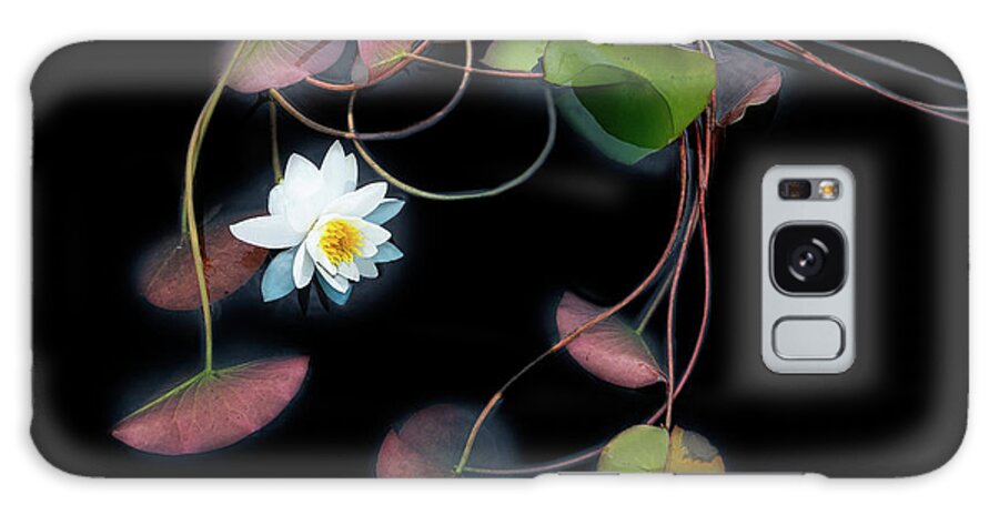 Gardens Galaxy Case featuring the photograph She Speaks to the Leaves of Love by Marilyn Cornwell