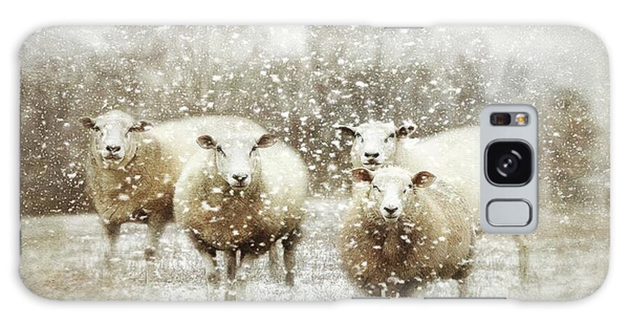 Sheep Gathering In Snow Galaxy Case featuring the photograph Sheep Gathering In Snow by Bellesouth Studio