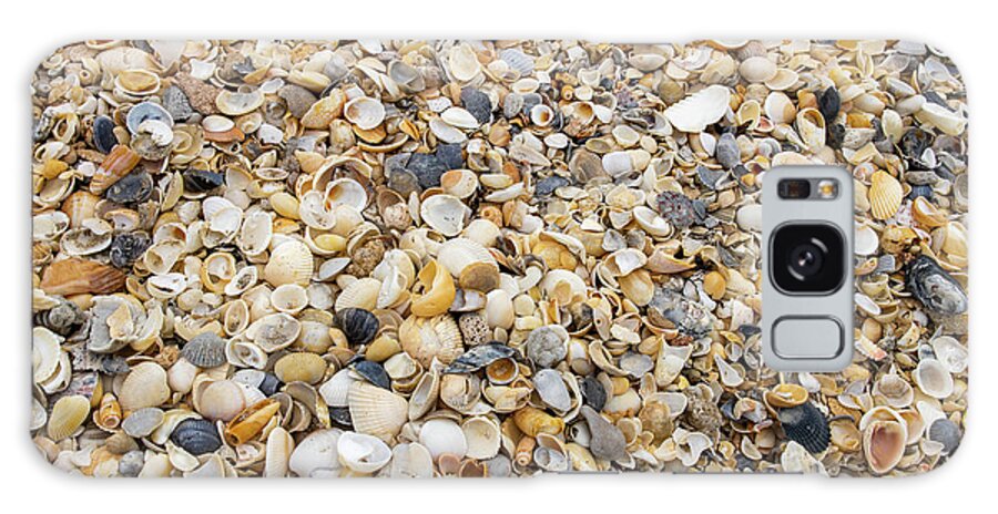 Shell Galaxy Case featuring the photograph Shells By The Sea by Blair Damson