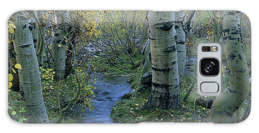 Creek Galaxy Case featuring the photograph Sherwin Creek Twilight, Mammoth Lakes, California by Bonnie Colgan
