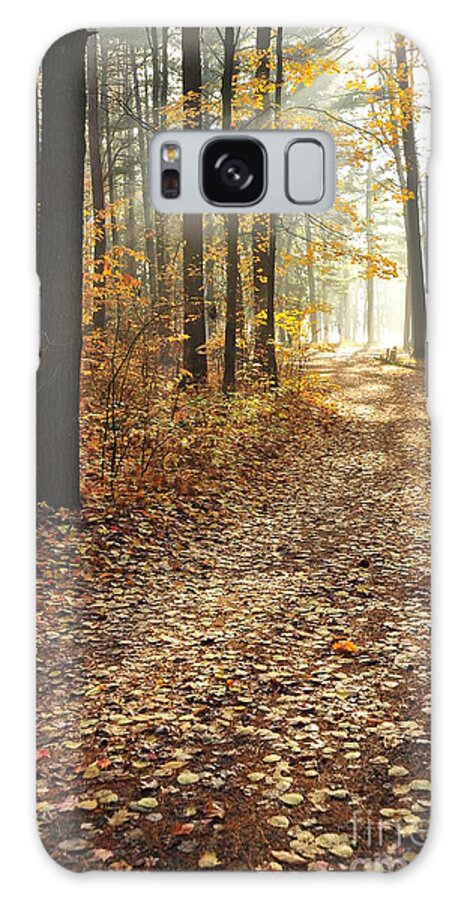 Shadow Galaxy Case featuring the photograph Shimmer by Terri Gostola