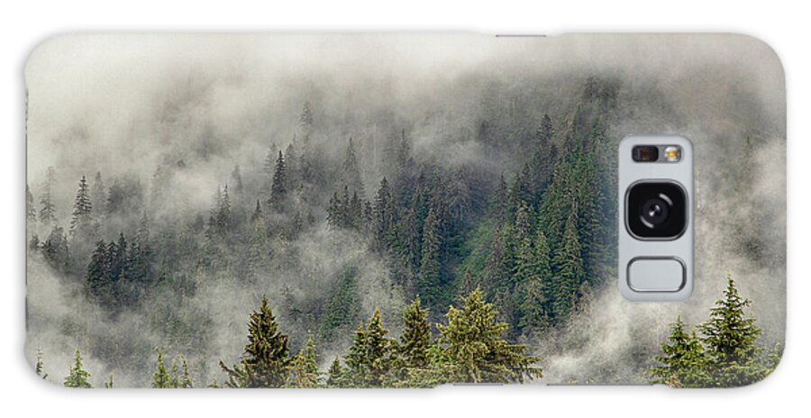 Forests Galaxy Case featuring the photograph Shrouded Trees by Randy Bradley