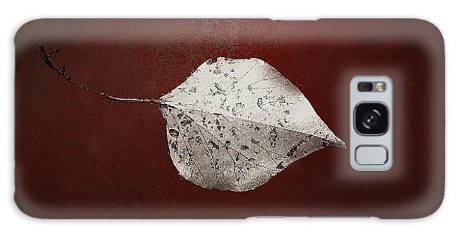 Leaf Galaxy Case featuring the photograph Silver Single Looking For Love by Rene Crystal