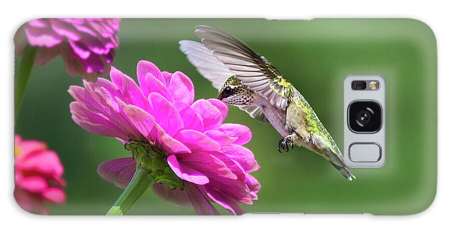 Hummingbird Galaxy Case featuring the photograph Simple Pleasure Hummingbird by Christina Rollo