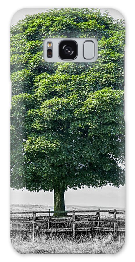 Digital Art Galaxy Case featuring the photograph Single tree composite photograph by Pics By Tony