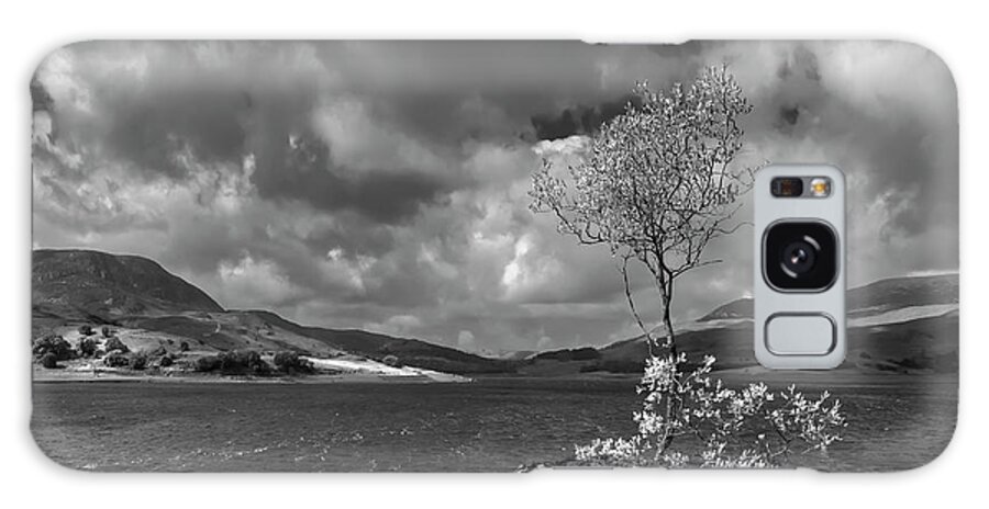 Landscape Galaxy Case featuring the photograph Lonely tree on the rock by Remigiusz MARCZAK