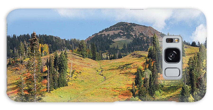 Autumn Galaxy Case featuring the photograph Ski Slope in Autumn by Robert Carter