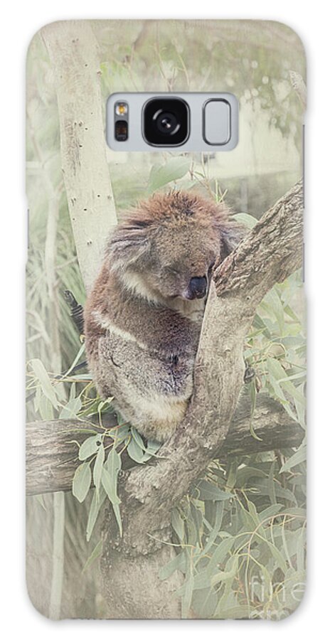 Koala Galaxy S8 Case featuring the photograph Sleepy Koala by Elaine Teague