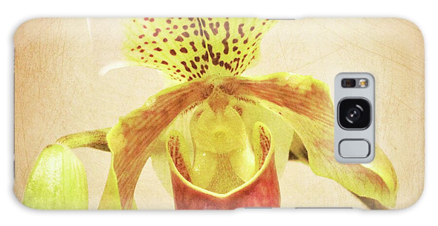 Orchid; Orchids; Slipper Orchid; Flowers; Flower; Floral; Flora; Red; Yellow; Red Orchid; Red Flowers; Brown; Digital Art; Photography; Painting; Simple; Decorative; Décor; Macro; Close-up Galaxy Case featuring the photograph Slipper Orchid by Tina Uihlein