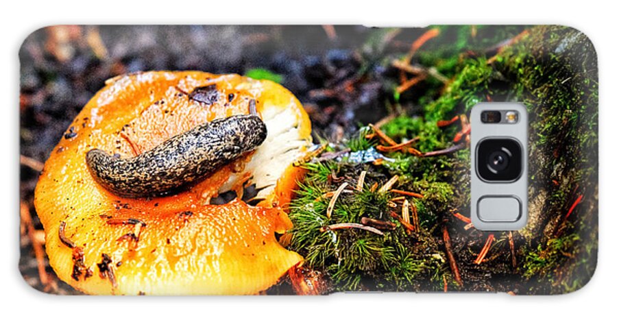 Photo Galaxy Case featuring the photograph Slug on Mushroom by Evan Foster