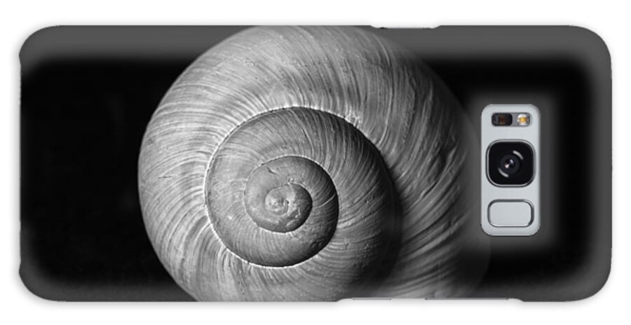 Snail Galaxy Case featuring the photograph Snail Shell by Martin Vorel Minimalist Photography