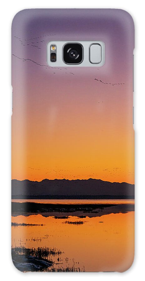 Outdoor; Migration; Goose; Geese; Snow Geese; Fly; Avian; Storm; Waterfowl; Home Coming; Water; Wet Land; Meadow; Skagit Valley Galaxy Case featuring the digital art Snow geese's home coming in Skagit Valley by Michael Lee