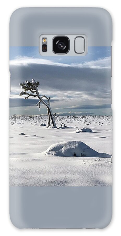 Joshua Tree Galaxy Case featuring the photograph Snow in Joshua Tree by Perry Hoffman