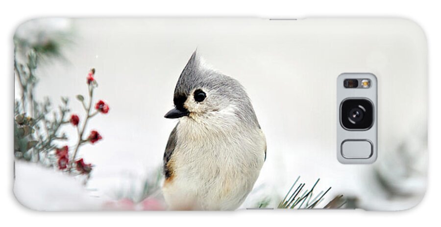 Bird Galaxy Case featuring the photograph Snow White Tufted Titmouse by Christina Rollo