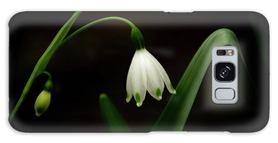 White Galaxy Case featuring the photograph Snowdrop by Cindy Robinson