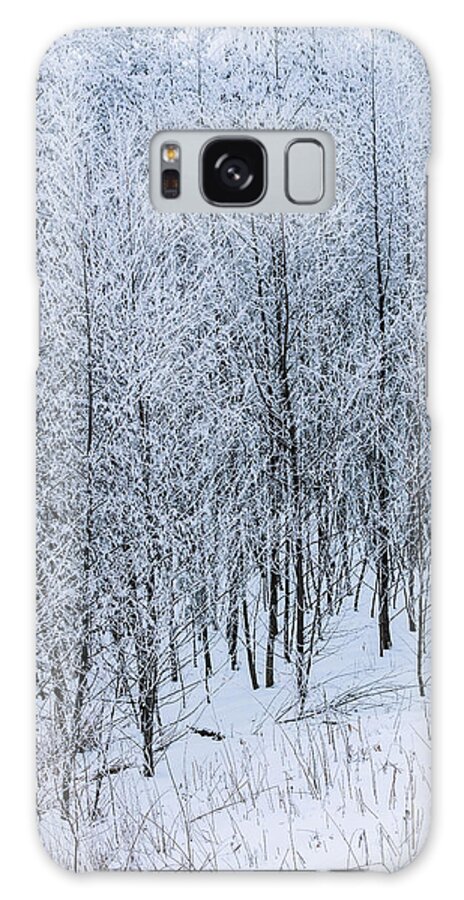 Tree Galaxy Case featuring the photograph Snowy Forest by Kim Sowa