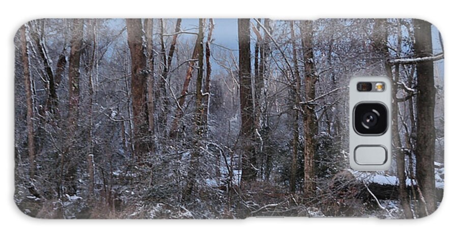 Snow Galaxy Case featuring the photograph Snowy, Woodsy Morn by Eric Towell