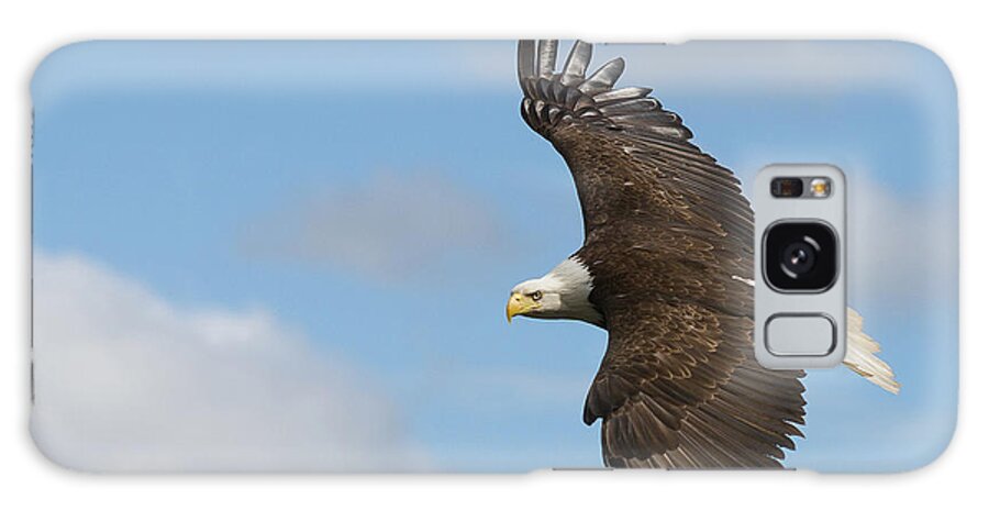 Bald Eagle Galaxy Case featuring the photograph Soaring Eagle by Michael Rauwolf