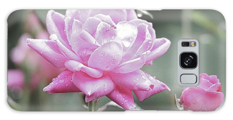 Pink Galaxy Case featuring the photograph Soft Focus Pink Rose by Scott Burd