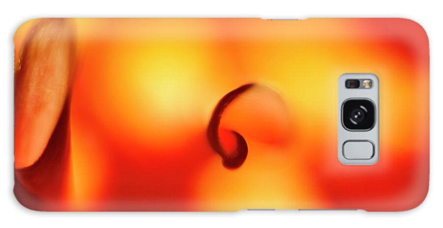 Orange Galaxy Case featuring the photograph Soft Pillars by Tony Locke