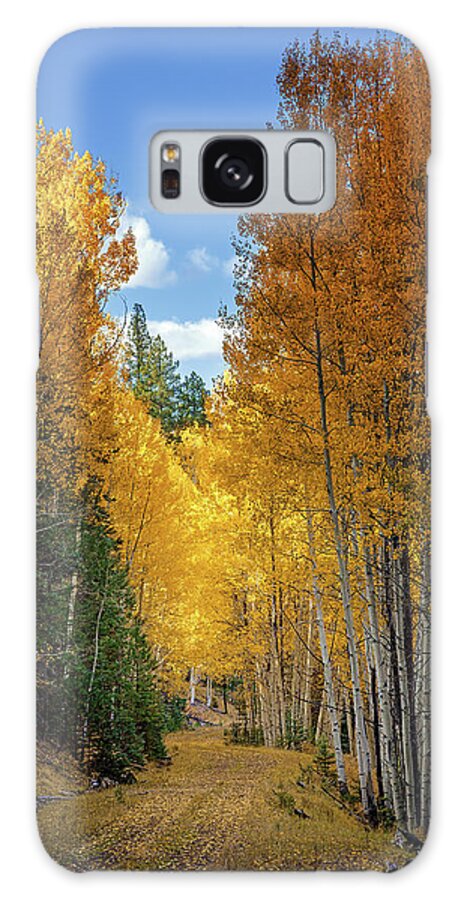 Art Galaxy Case featuring the photograph Solace by Rick Furmanek