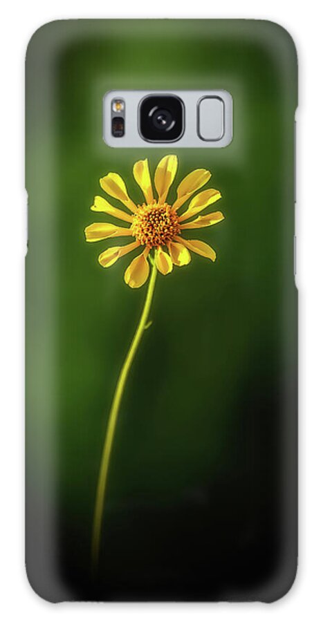 Business Decor Galaxy Case featuring the photograph Solo by Rick Furmanek
