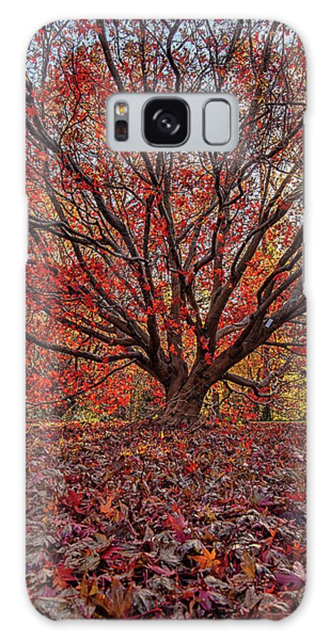 Sparkle Galaxy Case featuring the photograph Sparkle of Fall by Erika Fawcett