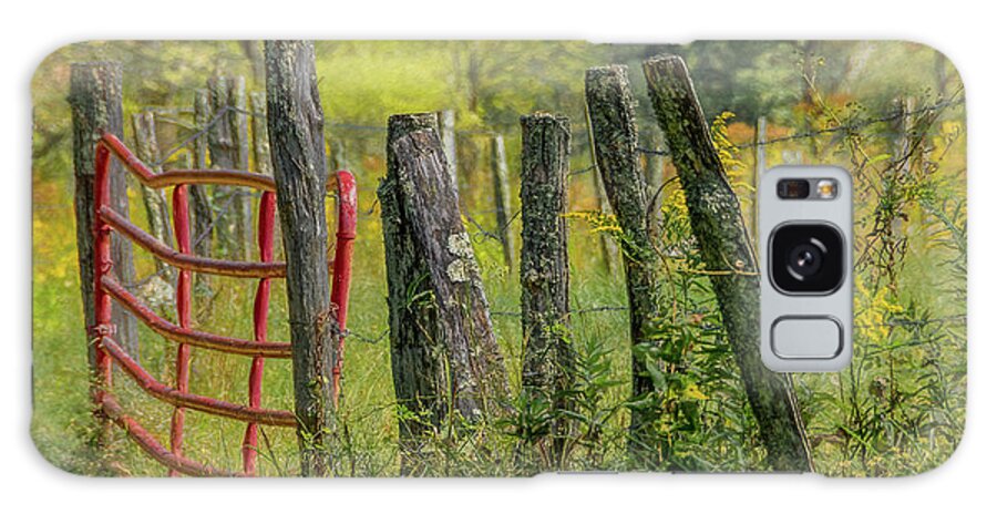 Cades Cove Galaxy Case featuring the photograph Sparks Lane Appeal by Marcy Wielfaert