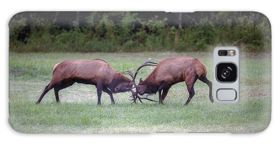 Great Smoky Mountains National Park Galaxy Case featuring the photograph Sparring Elk #2 by Robert J Wagner