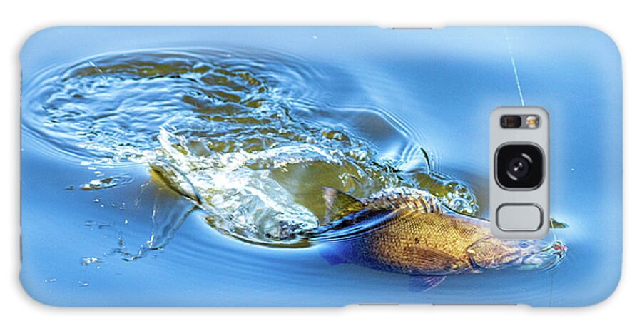 Fish Galaxy Case featuring the photograph Sport Fishing Smallmouth Bass by Amelia Pearn