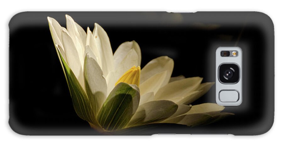 Floral Galaxy Case featuring the photograph Spotlight on Waterlily Nature Floral Botanical Night Photo by PIPA Fine Art - Simply Solid