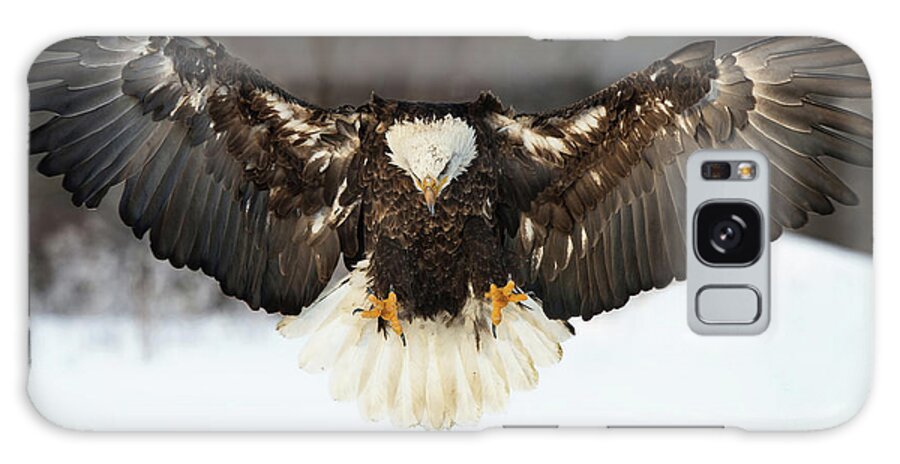 Spread Eagle Galaxy S8 Case featuring the photograph Spread Eagle by CR Courson