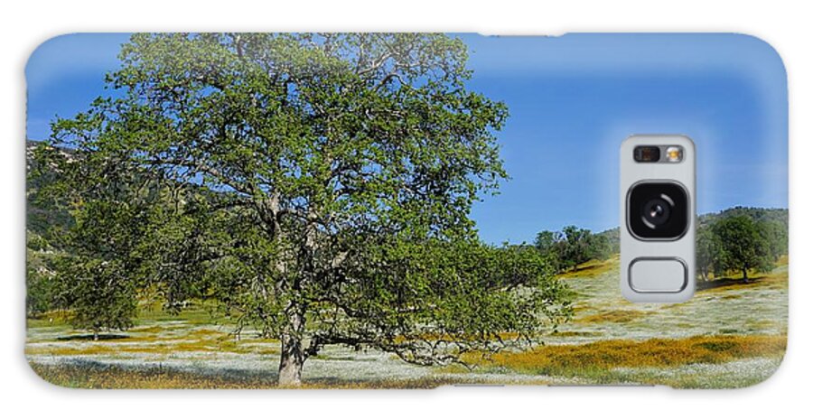 Spring Galaxy Case featuring the photograph Spring Colors Yokohl Valley by Brett Harvey