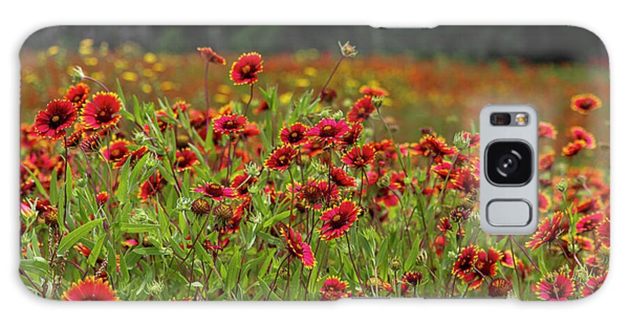 Landscape Galaxy Case featuring the photograph Spring Field by Seth Betterly