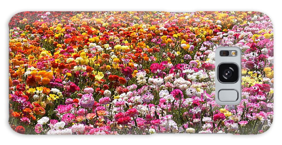 Flowers Galaxy Case featuring the photograph Spring Flowers by Rich Cruse