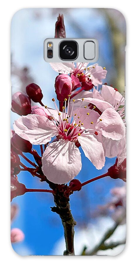 Spring Galaxy Case featuring the photograph Spring Is In The Air by Brian Eberly