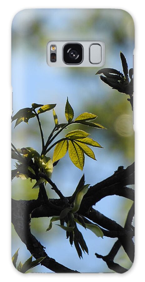 Green And Blue Galaxy Case featuring the photograph Spring Means Green by Eunice Miller
