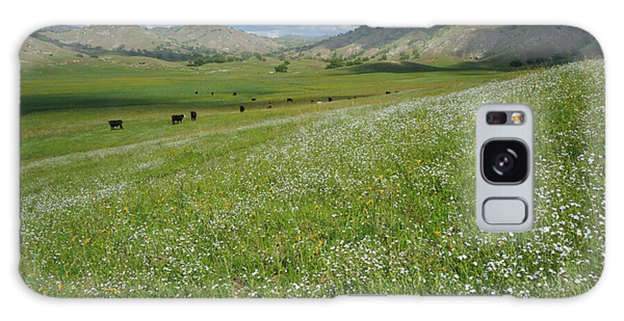 Wildflowers Galaxy Case featuring the photograph Spring On The Ranch by Brett Harvey