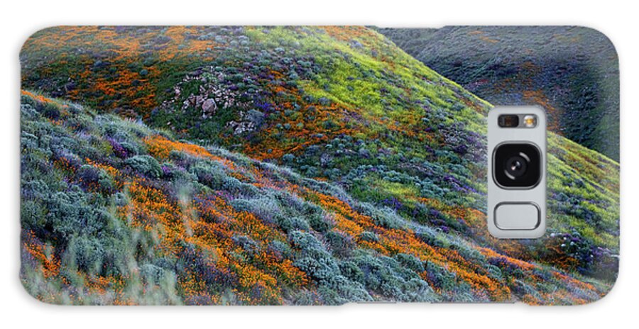 Superbloom Galaxy Case featuring the photograph Spring Superbloom by Erin Marie Davis