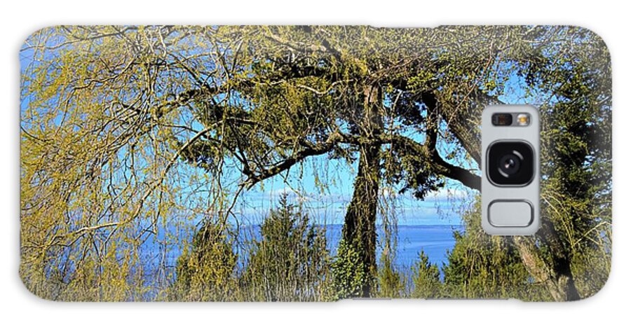 Trees Galaxy Case featuring the photograph Spring Trees Sharing the View of the Pacific by James Cousineau
