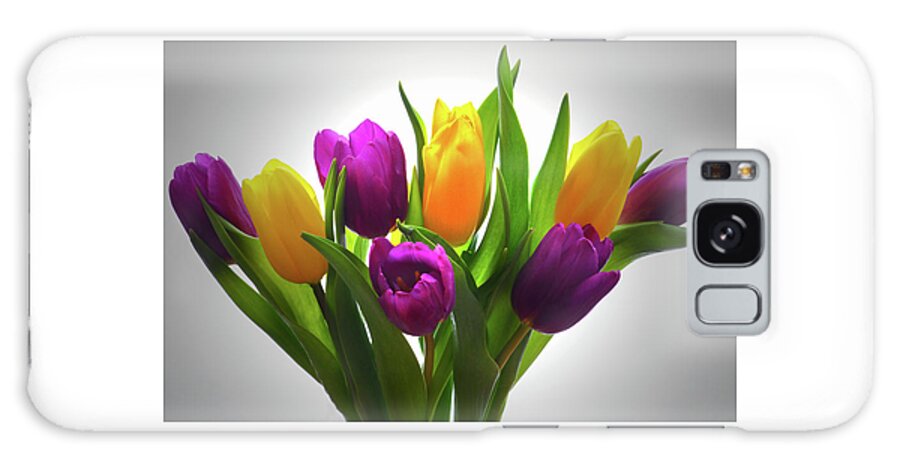 Tulips Galaxy Case featuring the photograph Spring Tulips by Terence Davis