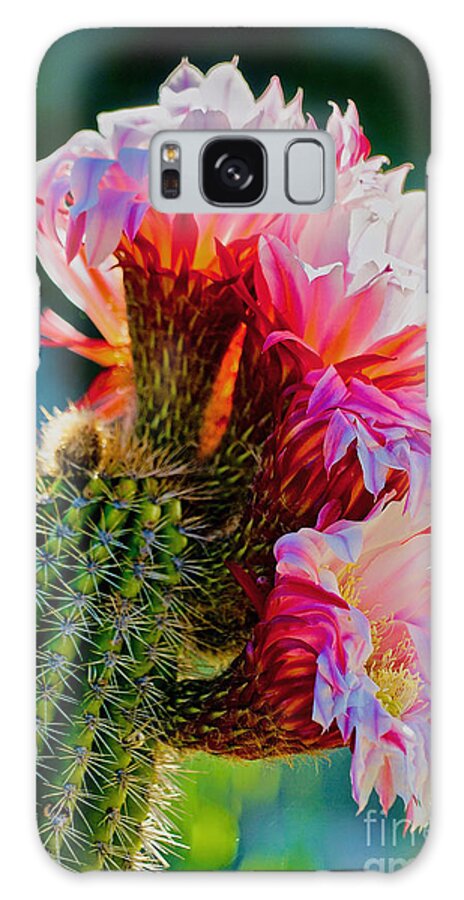 Cactus Galaxy Case featuring the photograph Springtime Cactus by Michael Cinnamond