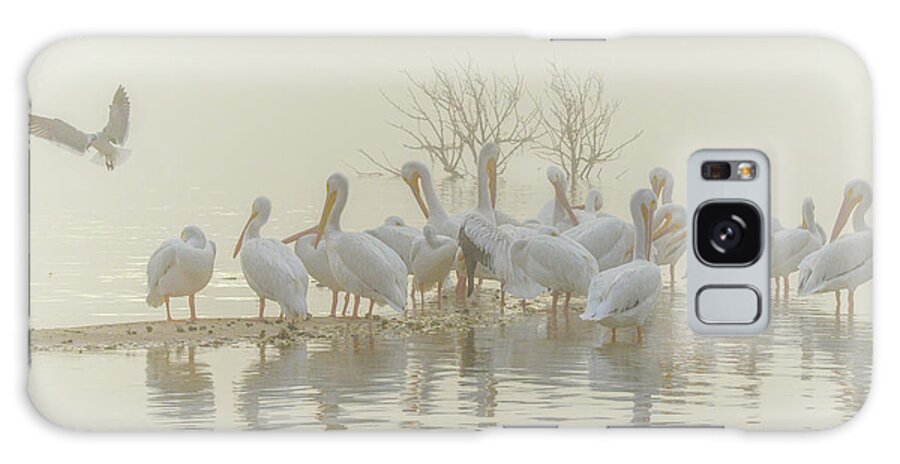 White Galaxy Case featuring the photograph Squadron in the Fog by Christopher Rice