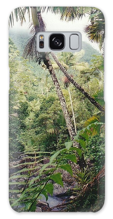 Tropical Forest Galaxy Case featuring the photograph Stairway to Heaven by John Hintz
