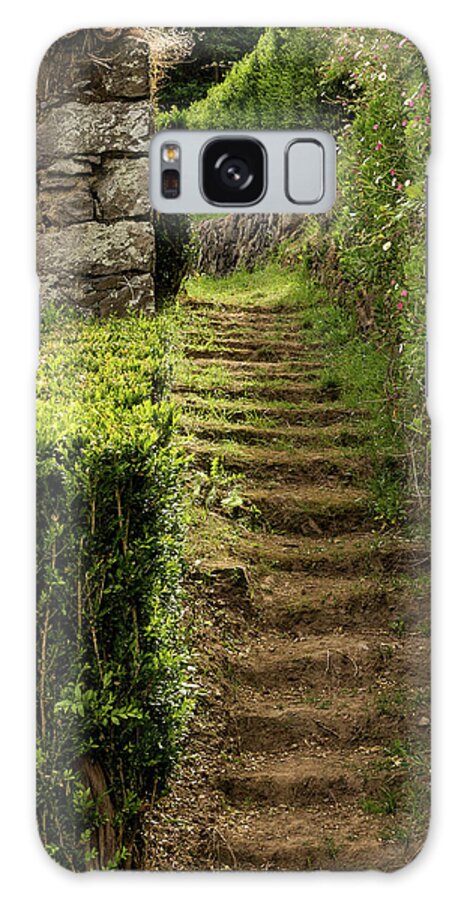 Moss Galaxy Case featuring the photograph Stairway to the Abandoned by Denise Kopko