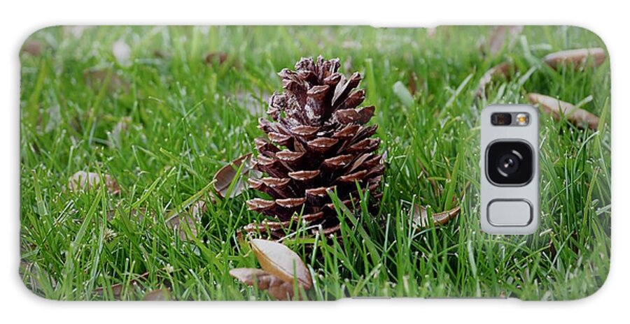 Pinecone Galaxy Case featuring the photograph Standing Alone by Alida M Haslett